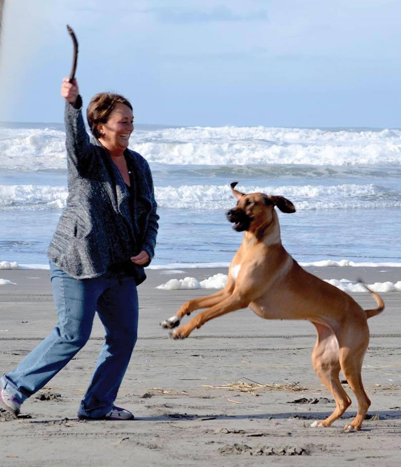 Does all it says...and more!